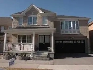 3 bedroom basement apartment for rent Image# 1