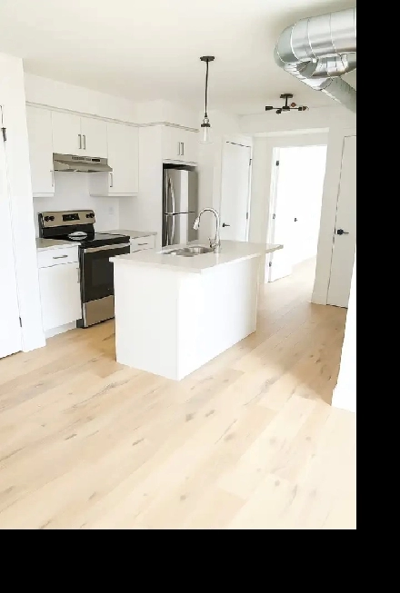 1 Bed 1 bath, clean, bright unit - newly renovated! Image# 1
