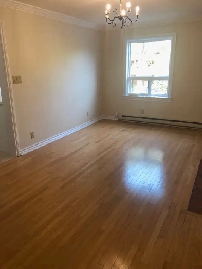 apartment for rent Image# 1