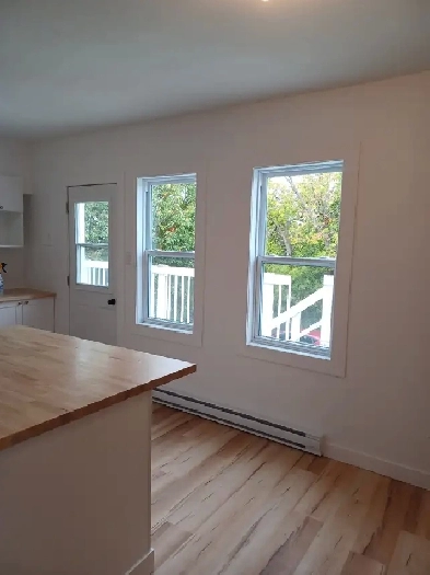 A louer Grand 3 1/2 entièrement rénové a Lemoyne (Quadruplex) Image# 3