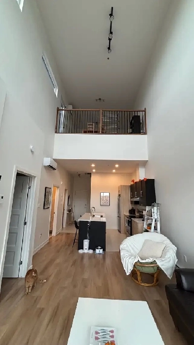 1.5 bedroom apartment with mezzanine Image# 5