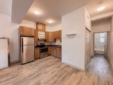 Available NOW — Bright & Spacious 1 Bed / 1 Bath in Verdun Image# 3