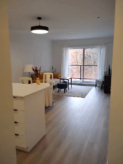 Superbe31/2, construit 2025, St Romuald, 3min. ds ponts,1194$ Image# 1
