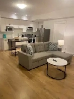 2 Bedroom Suite for Rent Image# 8