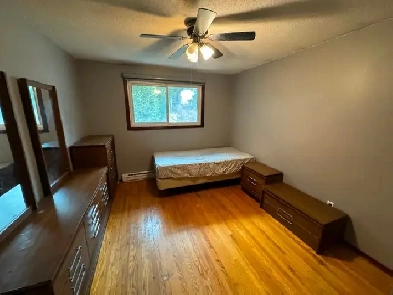 Room for rent- parking, utilities, internet inclusive Image# 2