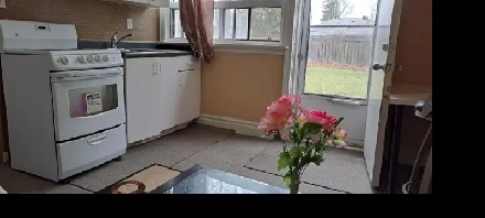 Furnished walkout basement: utilities,internet,parking included Image# 1