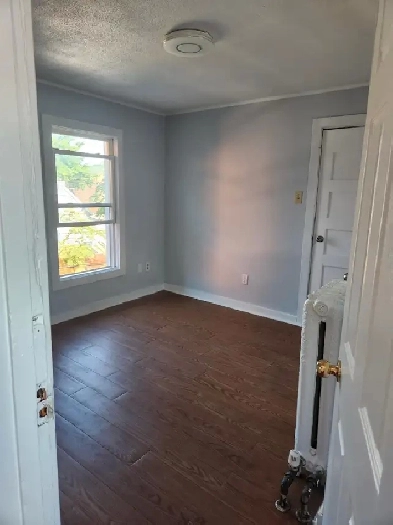 1 BEDROOM UNIT FOR RENTAL AVAILABLE IN HAMILTON AREA Image# 1