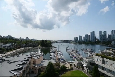 One and Two Bedroom Apartments for Rent Next to Seawall Image# 3