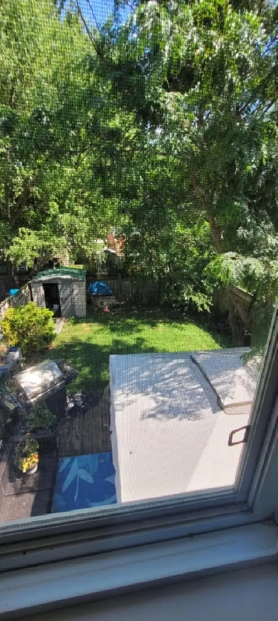 Available now:3 semi/furnished bedrooms, shared house east end Image# 1