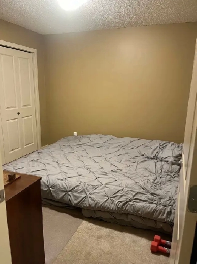 1 bedroom condo Image# 1