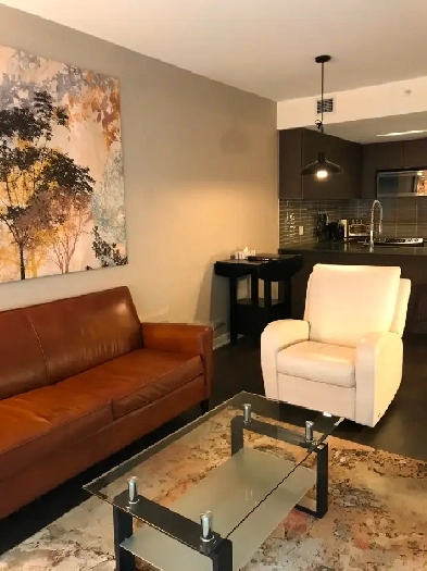 Comfortable Furnished Condo in Sought After Location Image# 7