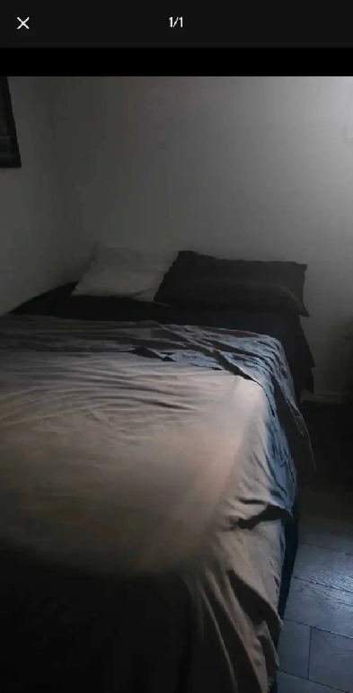 Chambre a louer 700$/mois Image# 1