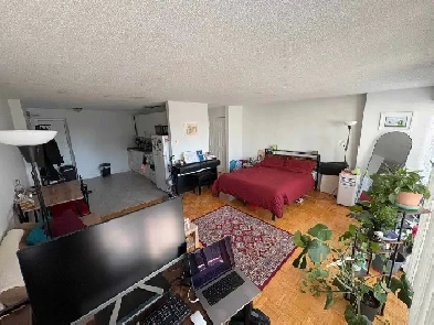 Bachelor Apartment for sublet or lease transfer Image# 10