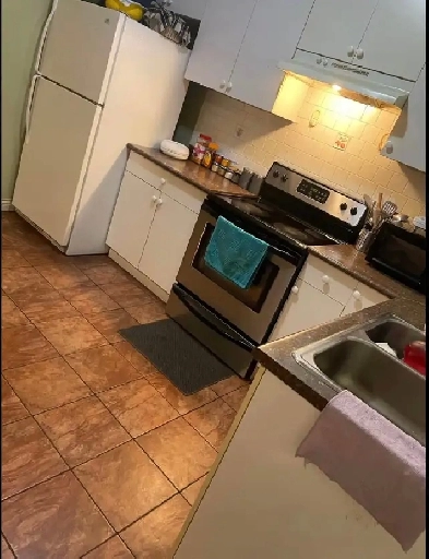 2 Bedroom 1 Bath basement for rent. Washer, Dryer and Wifi incl Image# 2