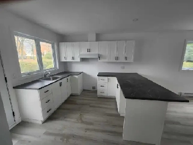 4 1/2, 1200$/mois, libre, 440 Principale, St-Pie-de-Guire. Image# 9