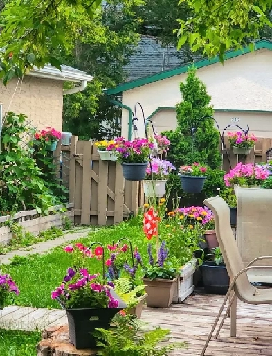 Roommate wanted to complete our happy home! Image# 3