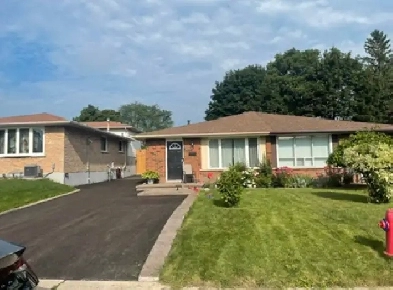 Room for rent Image# 10