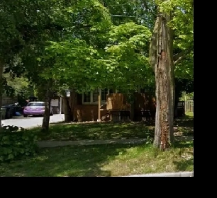 Main Floor in the house in Scarborough Image# 1