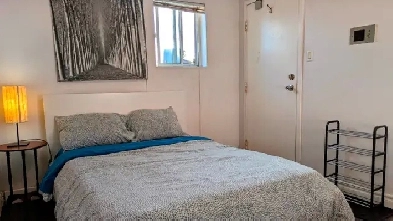 Furnished Downtown Studio Image# 1