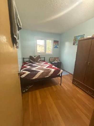 Furnished room for girls Image# 1