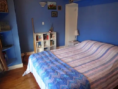 Room & shared accommodation for rent Image# 4