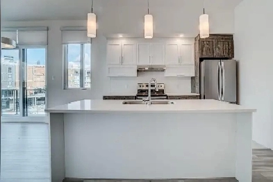 1 Bedroom   Den   Loft | 2-Story Penthouse Apartment Image# 9