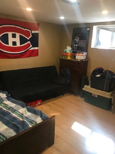 One bedroom basement apartment-Yonge & Steeles Image# 1