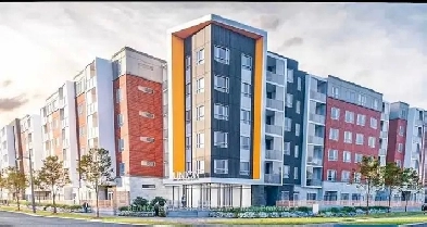 1 Bedroom 1 Washroom Available for Rent in Brampton Image# 3