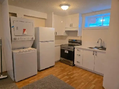 1 bedroom basement unit. Image# 3
