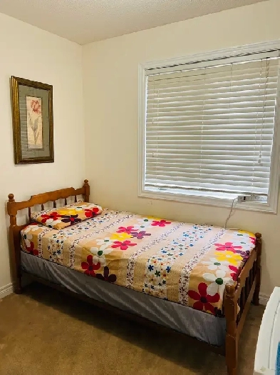 Bright, clean room with attached washroom and separate entranc Image# 2