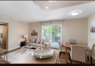 Apartment for Rent Image# 8