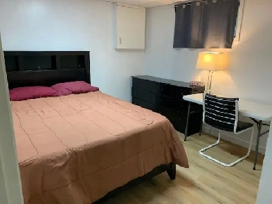 Male Roommate-Shared House-Close UM-Now Avail $625 Image# 3