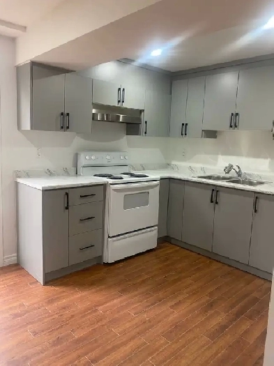 Basement for Rent castlemore Image# 1