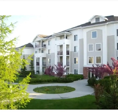 Country hills condo for rent Image# 4