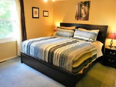 Room For Rent Image# 6