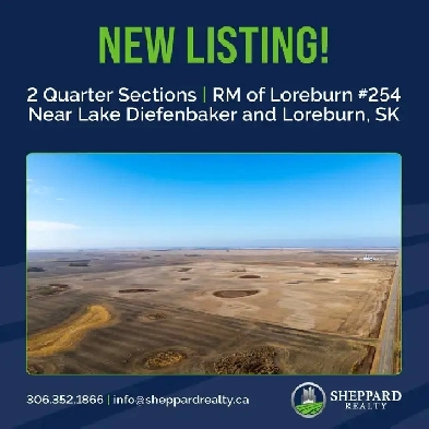 Prime Grain Land with Highway Frontage Near Loreburn, SK Image# 8