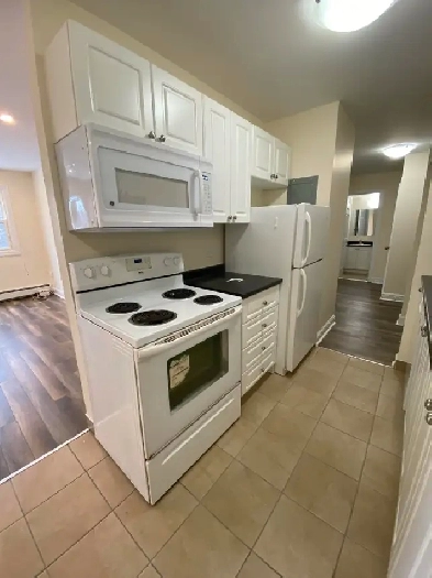 MacIntosh Pointe – Renovated 2-Bedroom Unit - Available Dec 1st Image# 1
