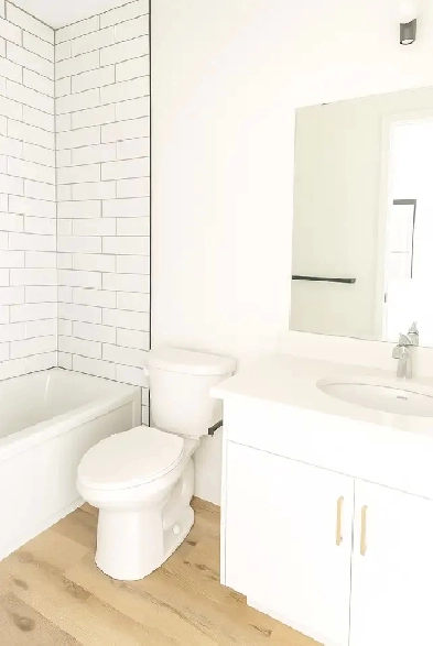 1 Bed 1 bath ready for Dec 1st.  Clean bright unit! Image# 1