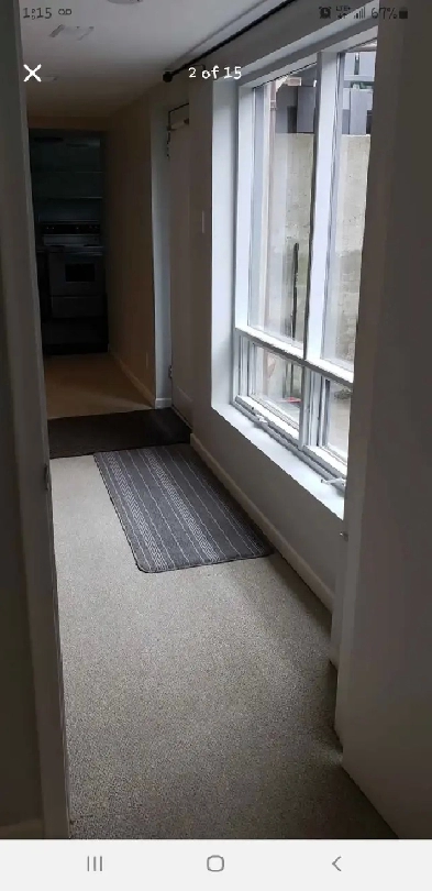 Lower unit in Riverdale triplex - 1 bed 1 bath - lots of light! Image# 9