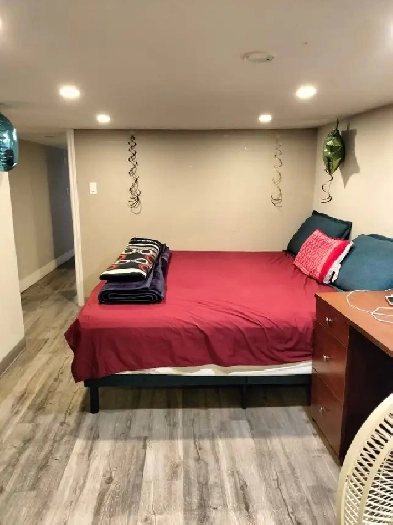 Fully Furnished Walk-out Apartment for Rent $1100 (Park) Image# 3