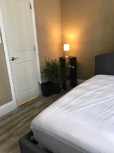 Single Room or Ensuite Room for Rent, from $425 (Brookland) Image# 2