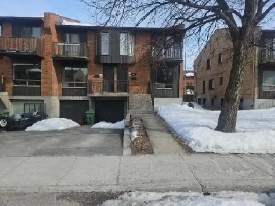 3 1/2 sous sol a 950$/mois Nouveau Rosemont Image# 1