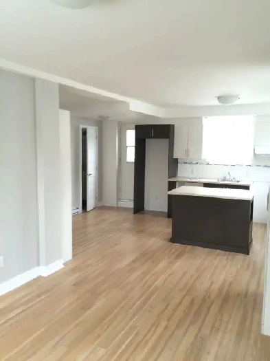 3 1/2 Chomedey - Demi Sous-Sol Image# 1