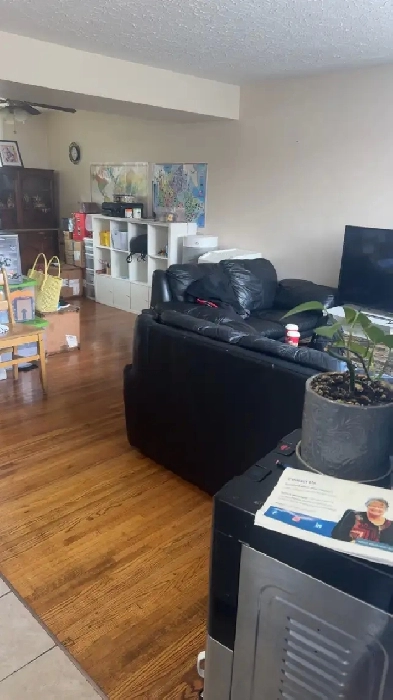 2bedroom 1 bathroom lower unit for rent Image# 1