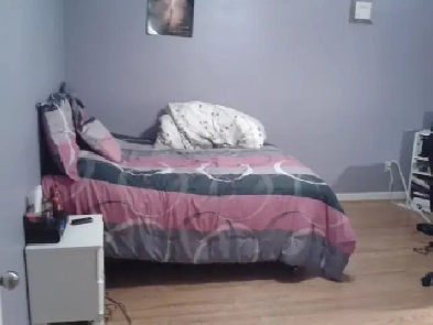 Room for rent near near North Humber Campus Image# 1