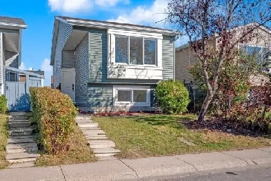 Newly renovated 2 bedroom basement for rent in Falconridge. Image# 1