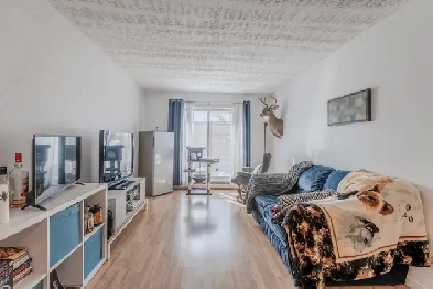 Appartement 3 ½ à louer Montcalm / Saint-Sacrement octobre 2025 Image# 1