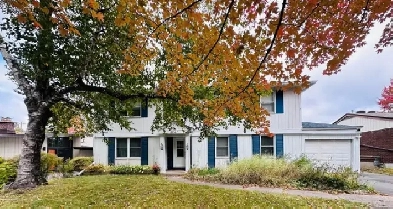 Carling Ave and Ikea area one bedroom studio for rent Image# 1