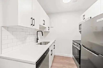 Spacious Newly Renovated 1 Bedroom Apartment! Move In Ready! Image# 1