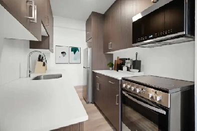 Newly Renovated 1 Bed 1 Bath! Move In Ready Image# 1